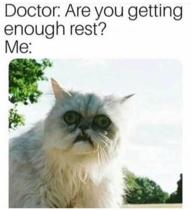 Stupid Bar Memes 218e7b93b19cf92f