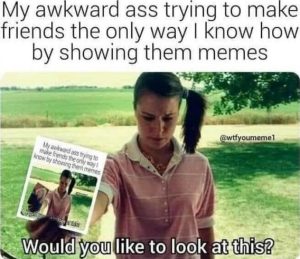 Stupid Bar Memes 22a9dd1713aa5343