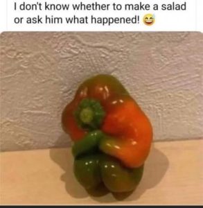 Stupid Bar Memes 2315b162f8218f4f