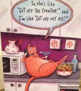 Stupid Bar Memes 23a173e07019d92c