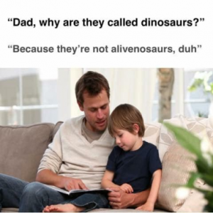 Stupid Bar Memes 256e57e959dcbe02