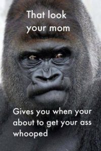 Stupid Bar Memes 257382cd7cc3f7cd