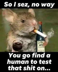 Stupid Bar Memes 2f7b166de019c6fe