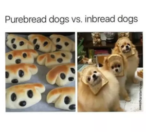 Stupid Bar Memes 2fc6f61e13619026