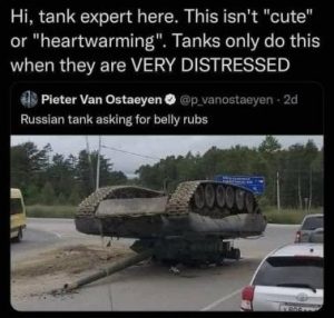 Stupid Bar Memes 31932d1b5250e840