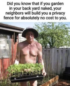 Stupid Bar Memes 3277297db0c6f0da
