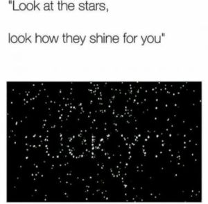 Stupid Bar Memes 35222719969be3ed