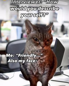 Stupid Bar Memes 398b93cba5822945