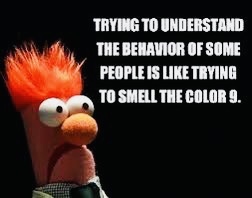 Stupid Bar Memes 39cb53943c92da54