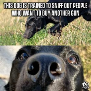 Stupid Bar Memes 3ea19ee3b9246636