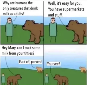 Stupid Bar Memes 3ef0cf24955d38fe