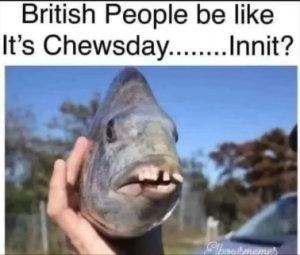 Stupid Bar Memes 417c8101f46b31ae