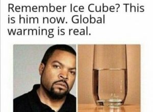 Stupid Bar Memes 42c6503e3abb1215