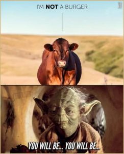 Stupid Bar Memes 45bb3965ff053523