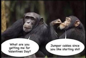 Stupid Bar Memes 46cccf6b2bd81adf