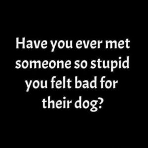 Stupid Bar Memes 48558304de4815a7