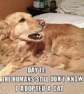 Stupid Bar Memes 490119ae10e5cce4