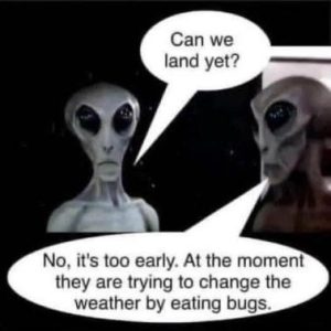 Stupid Bar Memes 50790a6cd00d502a