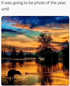 Stupid Bar Memes 520dab1e65ed2c4a