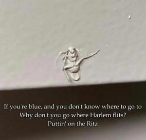 Stupid Bar Memes 53f9cc5c1f324cad