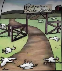 Stupid Bar Memes 59b6af02d34aa662