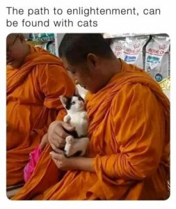 Stupid Bar Memes 5b55f3211e5f896e