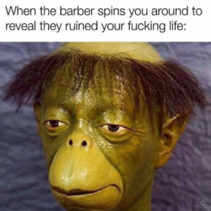 Stupid Bar Memes 5b8ff086bfb8035d
