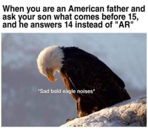 Stupid Bar Memes 5fc5557c5b85a50d