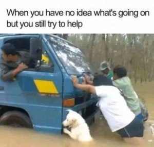 Stupid Bar Memes 639680d99b802f28