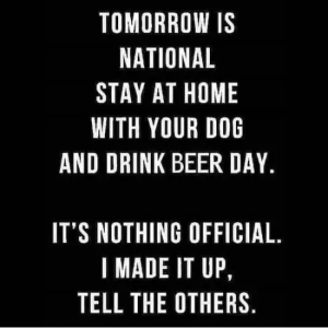 Stupid Bar Memes 664d0775saf6es46d6sb0b7sdb8e280e4eb8
