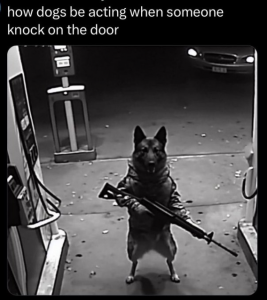 Stupid Bar Memes 6998bb07c51864dd
