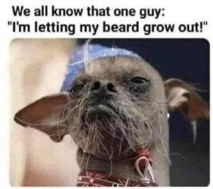 Stupid Bar Memes 6a78257136090b1f