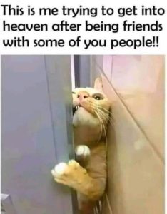 Stupid Bar Memes 6c7747a94389262e
