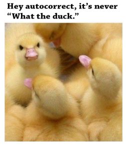 Stupid Bar Memes 6d140eb9cec4c264