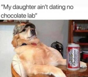 Stupid Bar Memes 76aae1eab7a023b9
