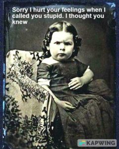 Stupid Bar Memes 8006be779ec07953