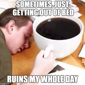 Stupid Bar Memes 80353a0d4abfce29