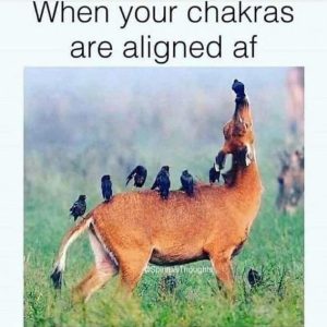 Stupid Bar Memes 8116dda38b30063a
