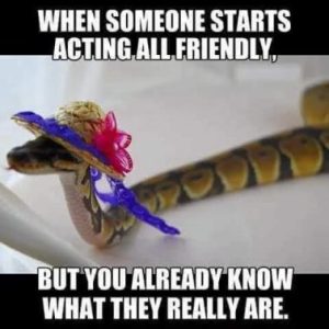 Stupid Bar Memes 8bb7e8291d373990