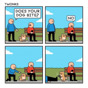 Stupid Bar Memes 8e59e2104e78ff39