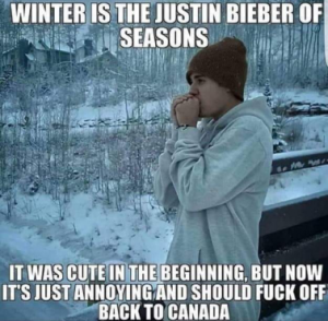 Stupid Bar Memes 8f00dbb716b732bc