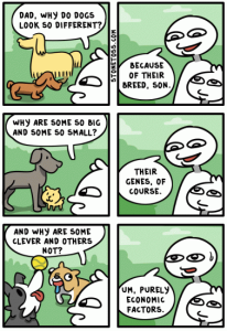 Stupid Bar Memes 9111a33311543ed0