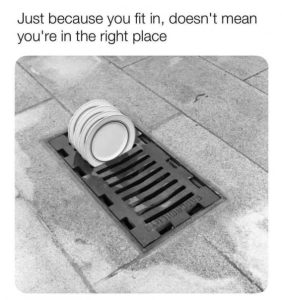 Stupid Bar Memes 97cf4fb4115fd8ab