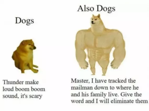 Stupid Bar Memes 9e6cebecf38f47d1