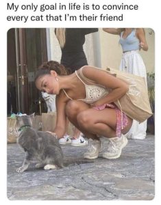 Stupid Bar Memes GJEWAsR