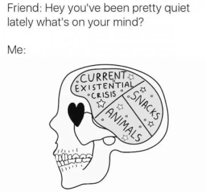 Stupid Bar Memes JmQH3vf
