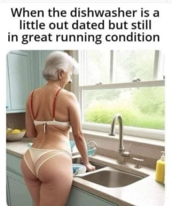 Stupid Bar Memes Screenshotdishwasher