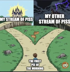 Stupid Bar Memes SppD1gT