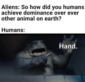 Stupid Bar Memes WMAs01s28s24s1s3