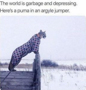 Stupid Bar Memes a06632106632f4ff